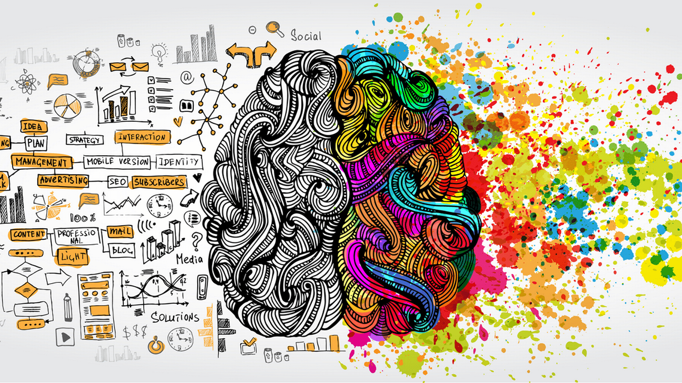 cerveau droit cerveau gauche